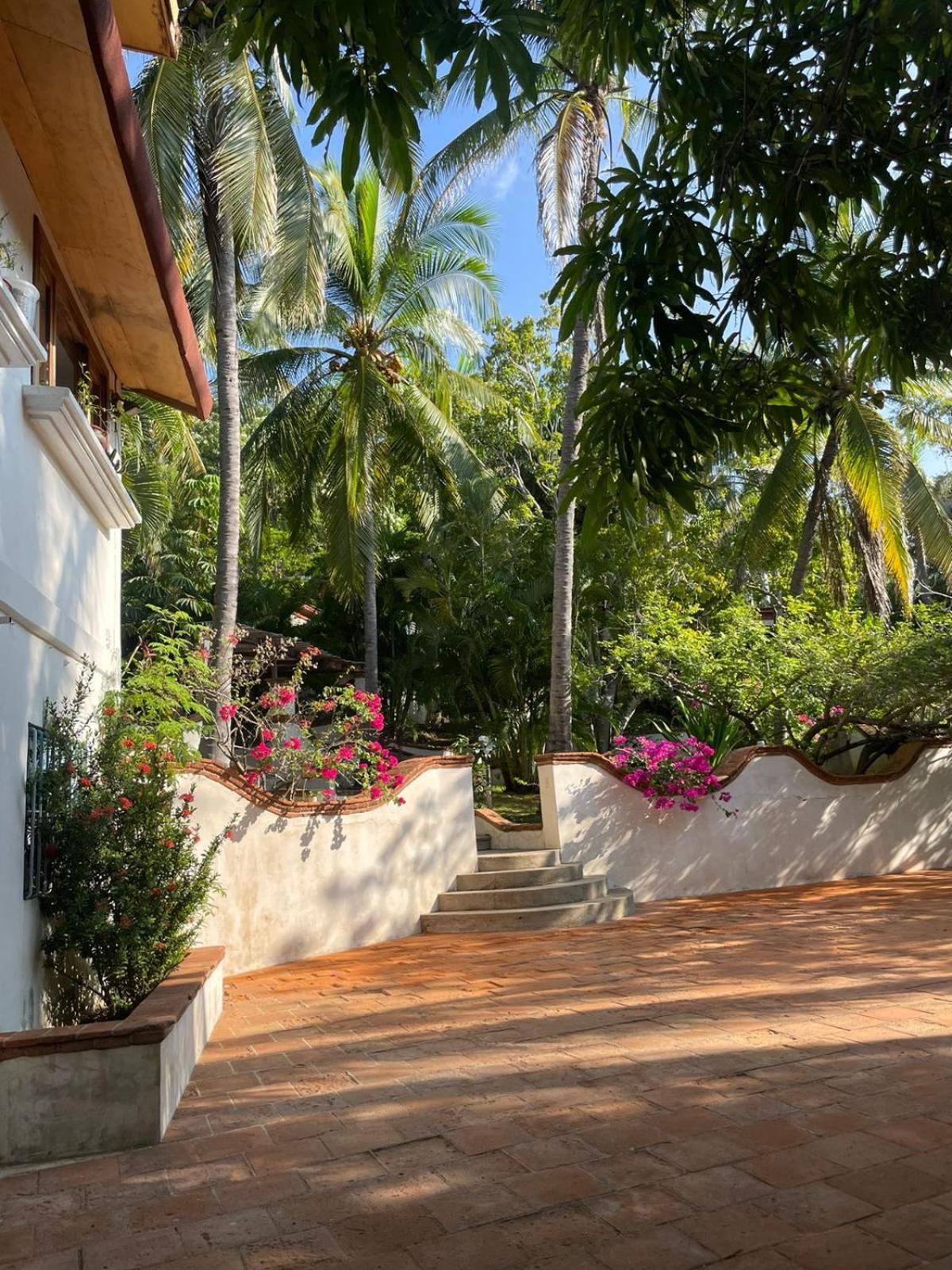 מלון סיפוליטה Casa Flor De Mar מראה חיצוני תמונה